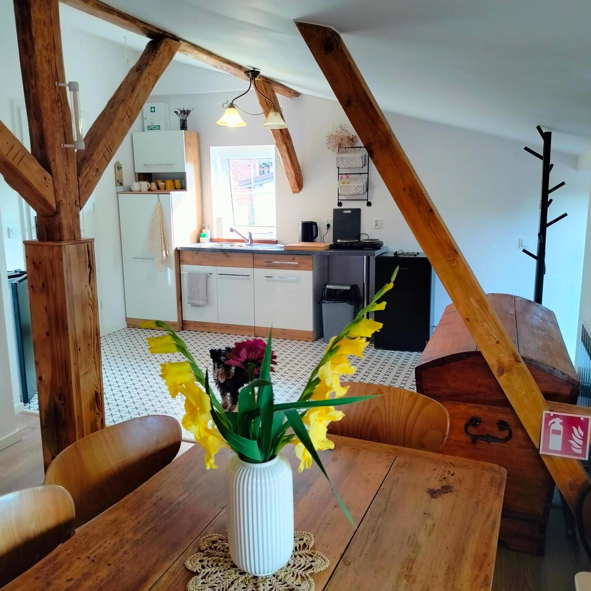 Apartment Wczasy Z Wedka